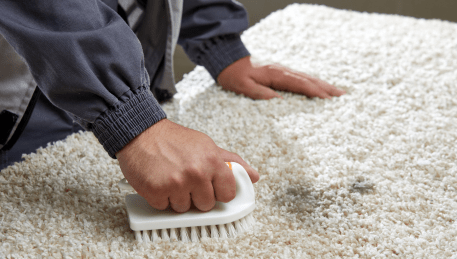 Professional Rug Cleaning Red Hill